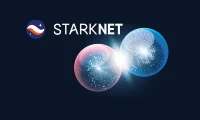 Starknet: The Project's Fundamentals and Token Performance Data