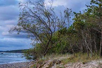 Bitcoin in 2025: Analysts Reveal the Breakthrough Potential & What It Means for YOU!