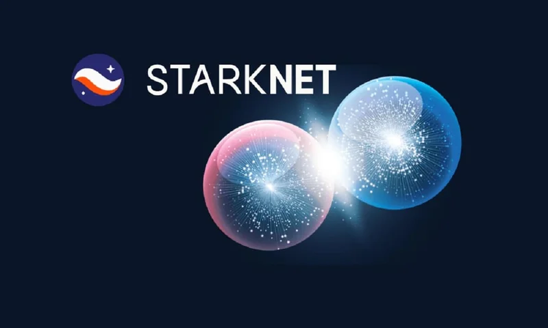 Starknet: The Project's Fundamentals and Token Performance Data